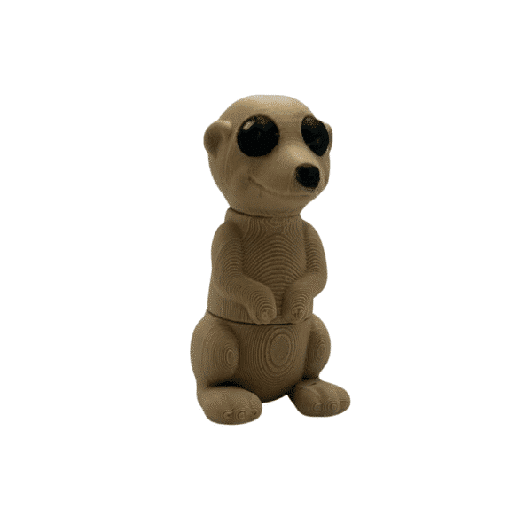 Meerkat