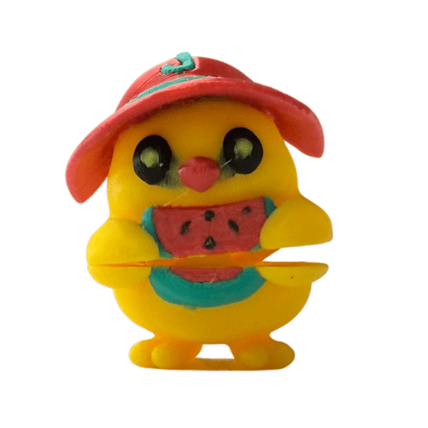Summer Duck